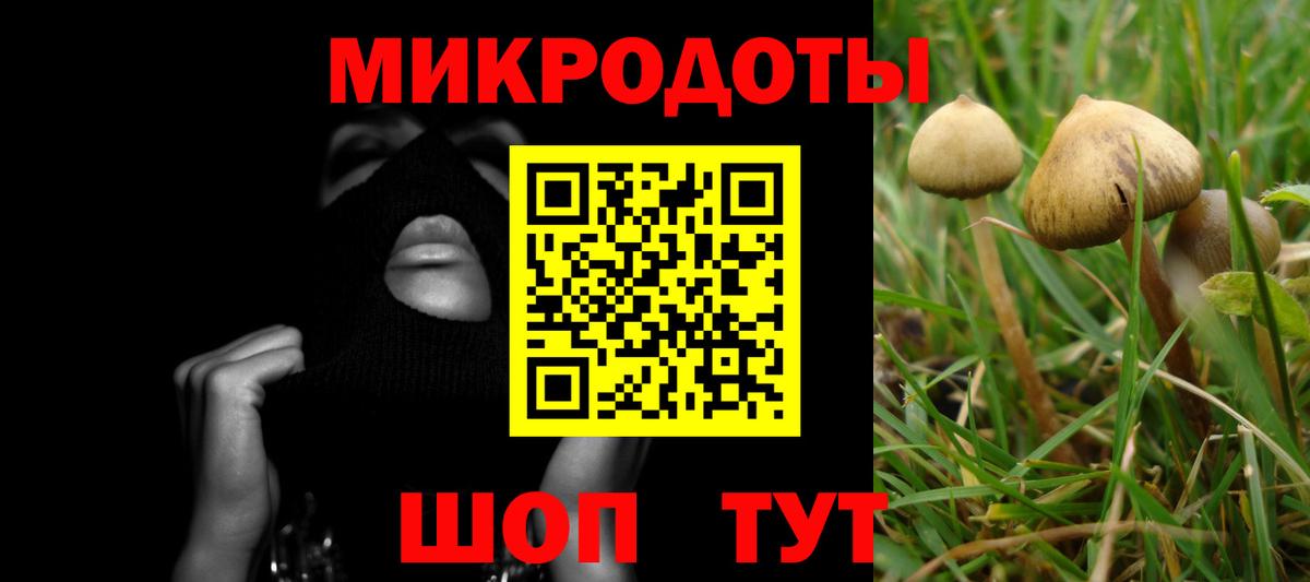 Нурлат  Псилоцибиновые грибы мицелий  Вход с VPN 