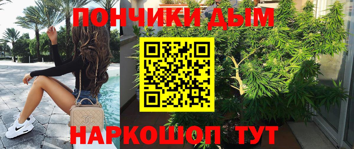 Шишки марихуана планчик  Шишки марихуана VHQ  Бошки Шишки тримм  Нурлат  Вход с VPN 